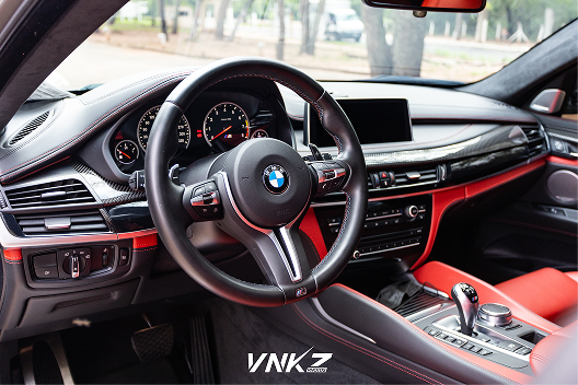 Higienização Interna